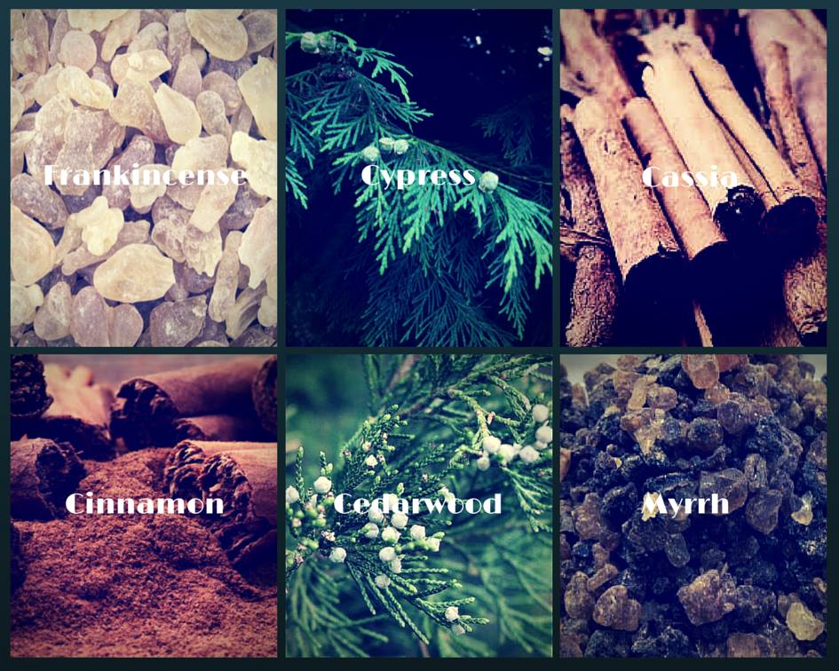 bibleoilspic type of essential oils
